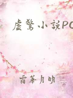 虚惊小说PO