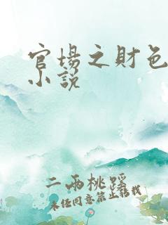 官场之财色诱人小说