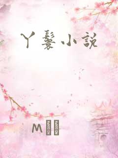 丫鬟小说