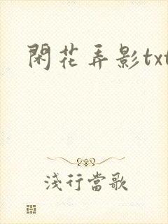 闲花弄影txt