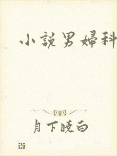 小说男妇科医生