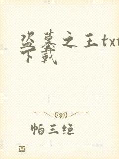 盗墓之王txt下载