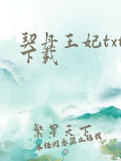 契丹王妃txt下载