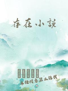 存在小说