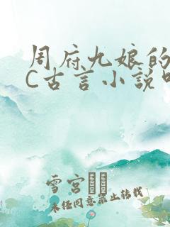 周府九娘的NPC古言小说叫什么
