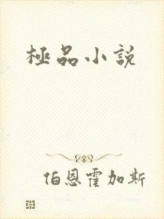 极品小说