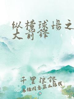 纵横球场之暴力大前锋