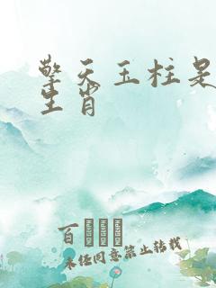 擎天玉柱是什么生肖