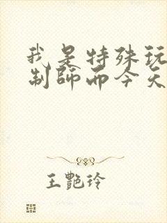 我是特殊玩具定制师而今天的客户