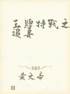 王牌特战之军少追妻