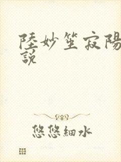 陆妙笙寂阳朔小说