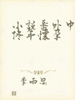 小说番外中结局佟年怀孕