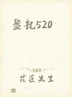盘龙520