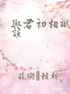 与君初相识 小说