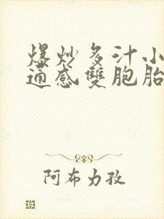 爆炒多汁小美人通感双胞胎燎锋