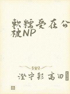 软糯受在公交车被NP