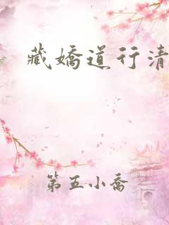 藏娇道行清浅