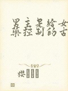 男主是给女主喂药控制的古言