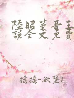 陆昭菱晋王的小说全文免费阅读