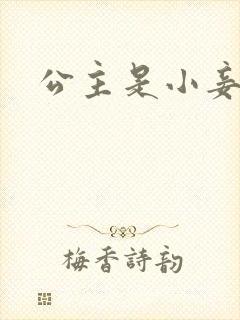 公主是小妾