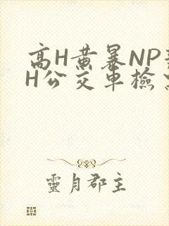 高H黄暴NP辣H公交车检票员