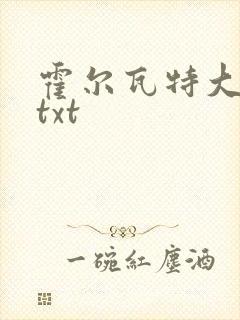 霍尔瓦特大街 txt