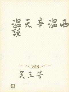 温天辛温西离小说