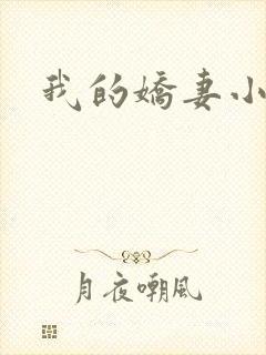 我的娇妻小说