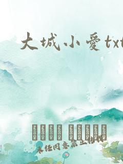 大城小爱txt
