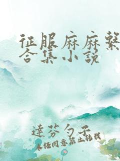 征服麻麻系列大合集小说