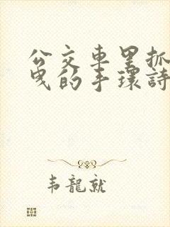 公交车里抓着摇曳的手环诗情