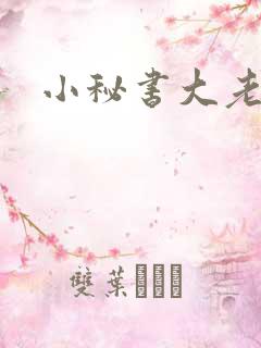 小秘书大老婆