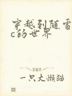 穿越到随处可以c的世界