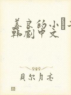 善良的小峓子2韩剧中文