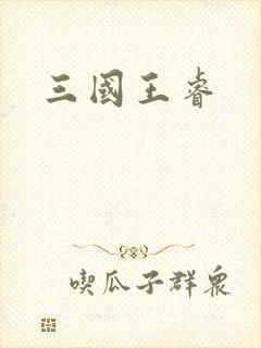 三国王睿
