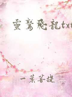 灵鹫飞龙txt