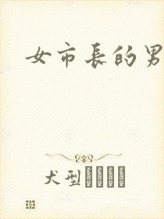 女市长的男秘书