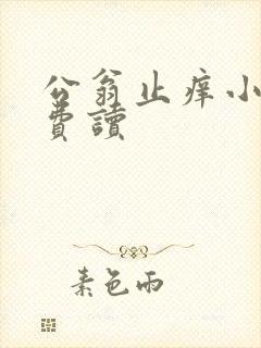 公翁止痒小说免费读