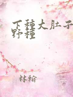 下种大肚子怀孕野种