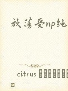 放荡受np纯肉