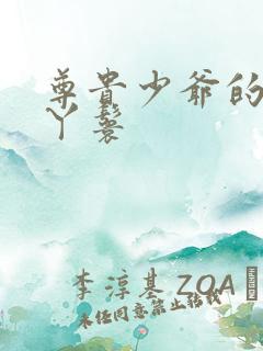 尊贵少爷的大牌丫鬟