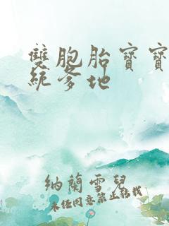 双胞胎宝宝的总统爹地