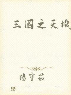 三国之天机军师