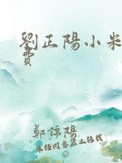 刘正阳小米多免费