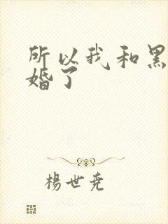所以我和黑粉结婚了