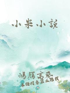小米小说