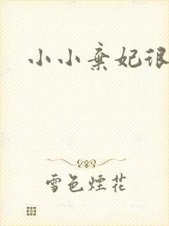 小小弃妃很倾城