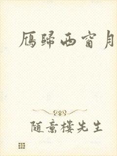 雁归西窗月小说