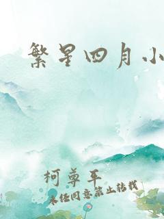 繁星四月小说