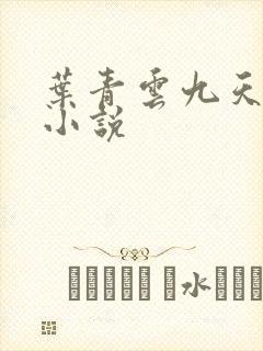 叶青云九天玄宗小说
